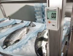 Testo 174 T - Mini sıcaklık dataloggerı