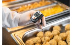 Testo 905-T1 – Daldırma/Batırma Tipi Termometre