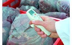 Testo 105 Seti – Tek Elle Kullanılabilen Batırma Tipi Termometre Seti